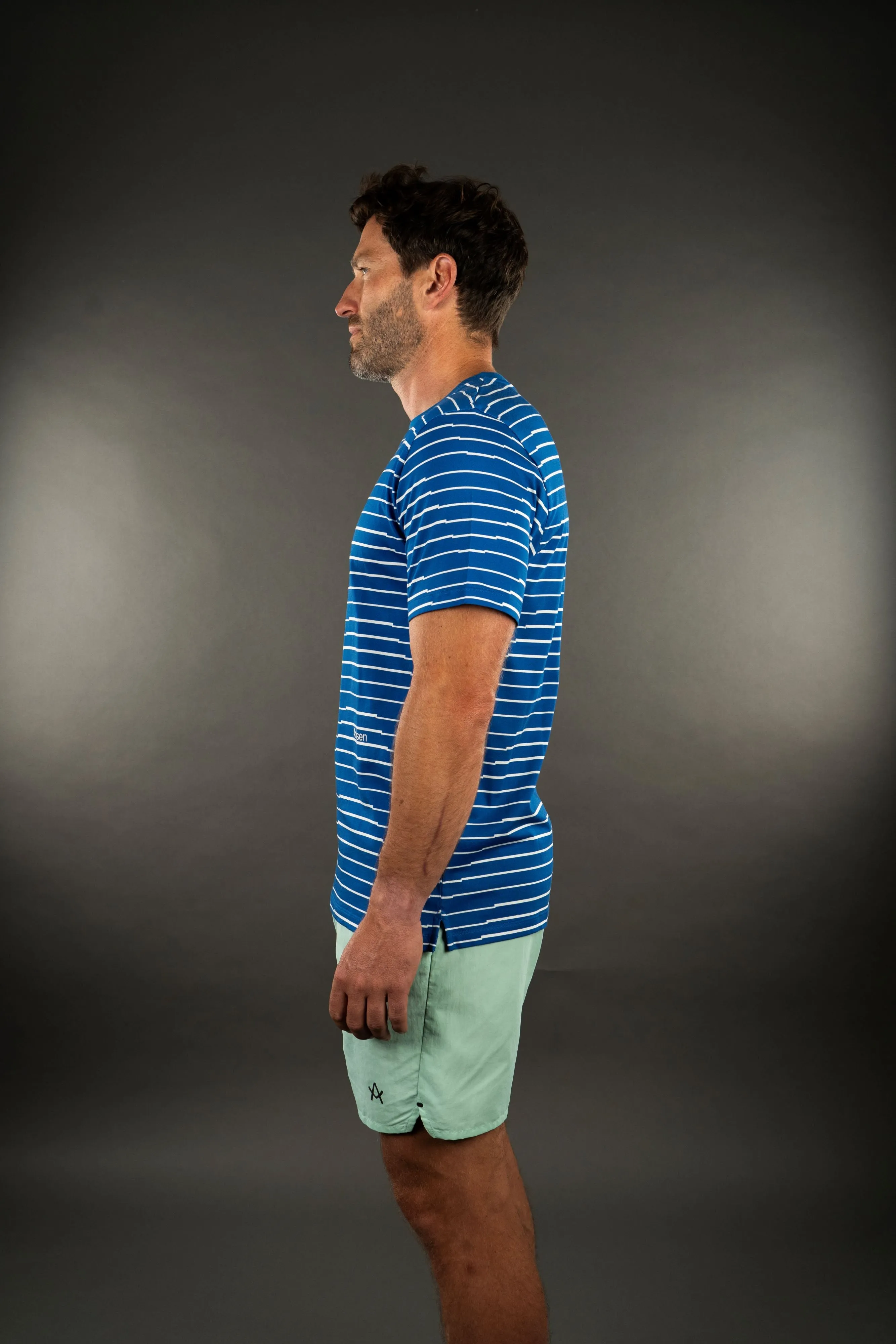 Herne Stripe T-Shirt