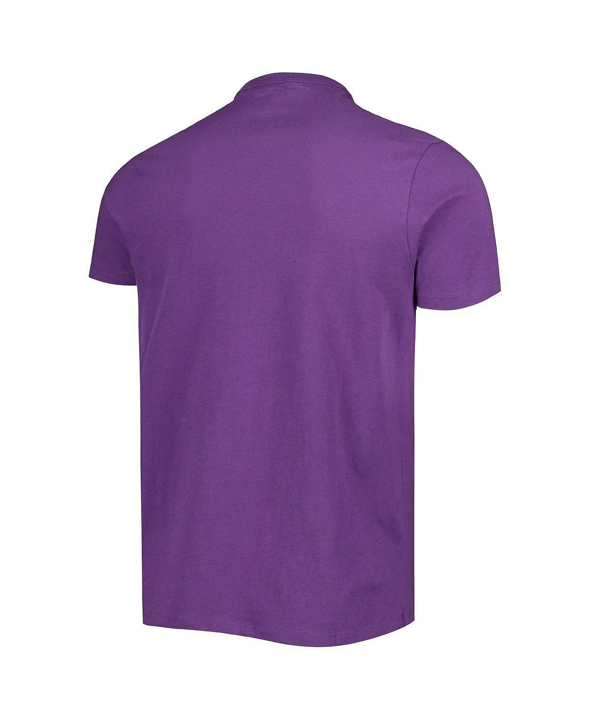 Men's Minnesota Vikings All Arch Franklin '47 Brand Purple T-Shirt